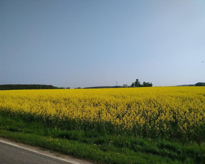 Fischstubchen Neeberg